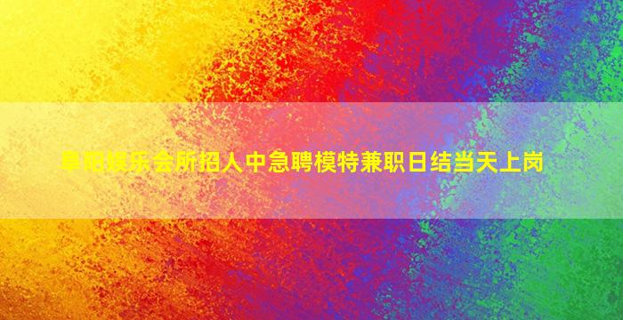 山南酒吧招聘